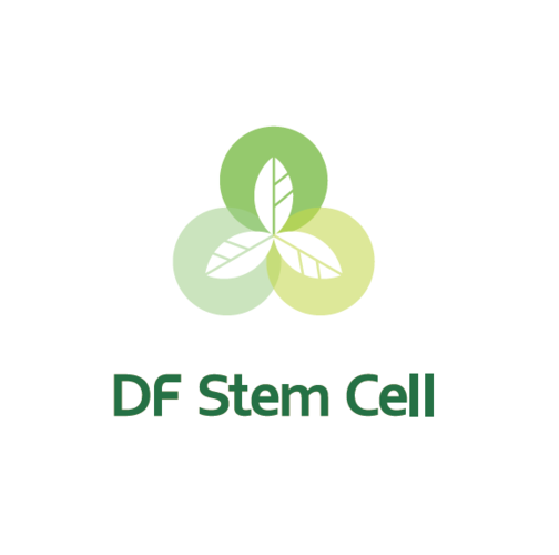 干细胞——毛囊再生的希望