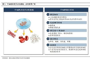 焕生汇 用干细胞技术造福人类