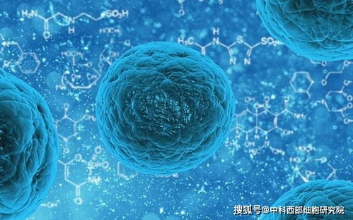 中科西部研究院 干细胞抗击新冠疫情,正在席卷全球