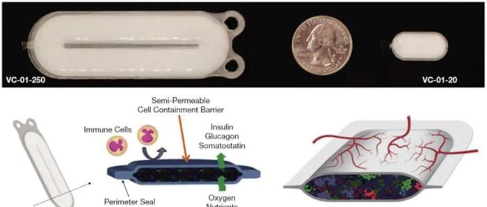 干细胞在糖尿病领域展望:MSCs到iPSCs,再生医学的自我颠覆之路