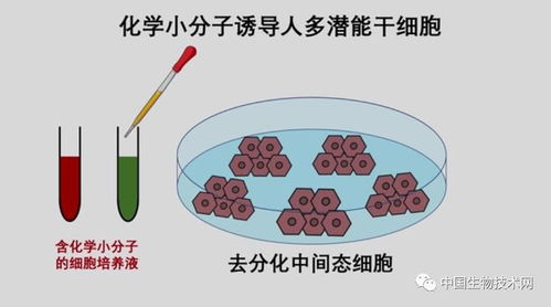 nature重磅 我国干细胞制备技术获重要突破