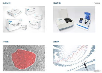 凯普生物(300639.SZ):精准分子诊断细分龙头