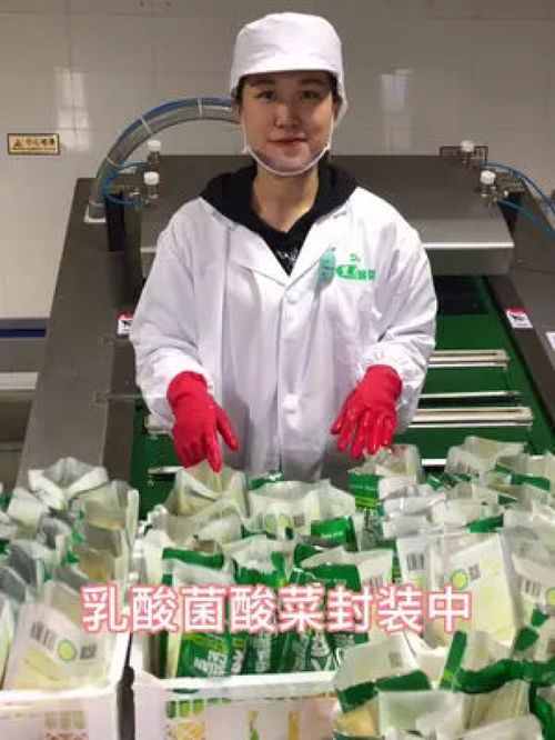 黑大酸菜 工厂实拍视频 质量杠杠的好 健康食品