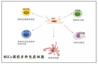 糖尿病要截肢 干细胞治疗带来新希望